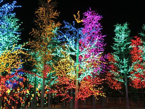 i-City